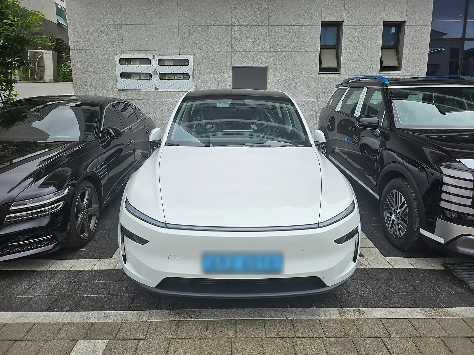 Model Y 장기렌트 출고 사진